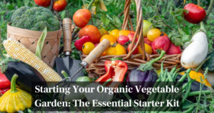 Starting Your Organic Vegetable Garden The Essential Starter Kit