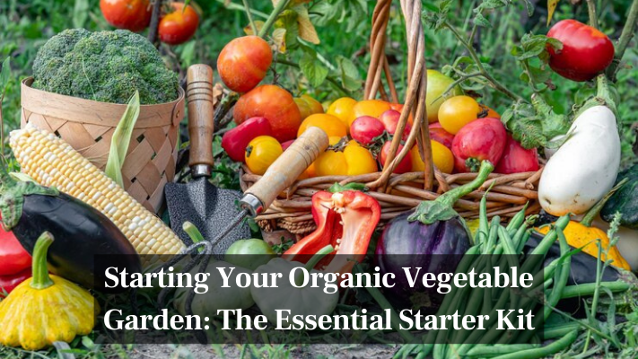 Starting Your Organic Vegetable Garden The Essential Starter Kit